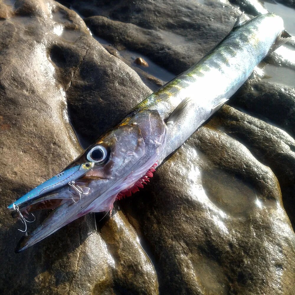 GOBAIT VIB Fishing Lure 20g 25 - Fishing Lure Blade Bait incelemesi ve fiyatı