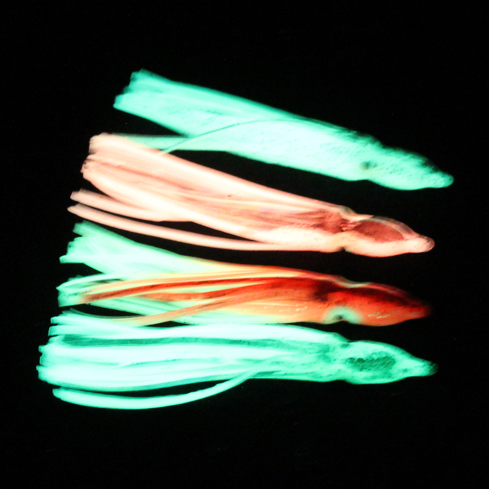 10 pcs soft light octopus squi - Fishing Lure Buzzbait incelemesi ve fiyatı