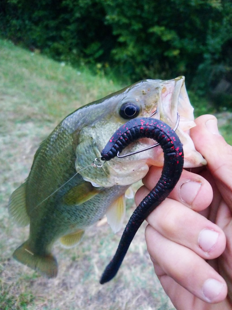 Esfishing Silicone Soft Bait T - Fishing Lure Soft Plastic incelemesi ve fiyatı